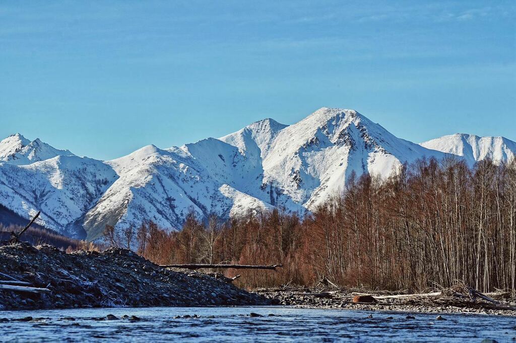 alkrylov's tweet image. #ВосторгПутешествий: Гора Кремлевская и река Магадавен, по берегам которой раскинулись тополя и чозении. 
Неподалёку, в долине, стоит Мадаун (эвенск. Магадавен) — посёлок дорожников в Тенькинском районе. Основная версия, по которой получил своё название … bit.ly/3jeItRf