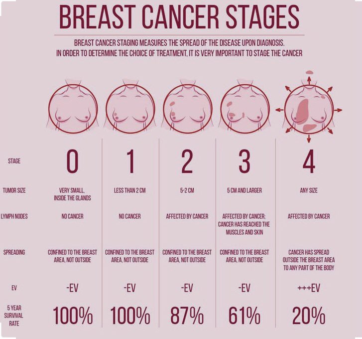 Agatha Reyes (@agatharm) on Twitter photo 