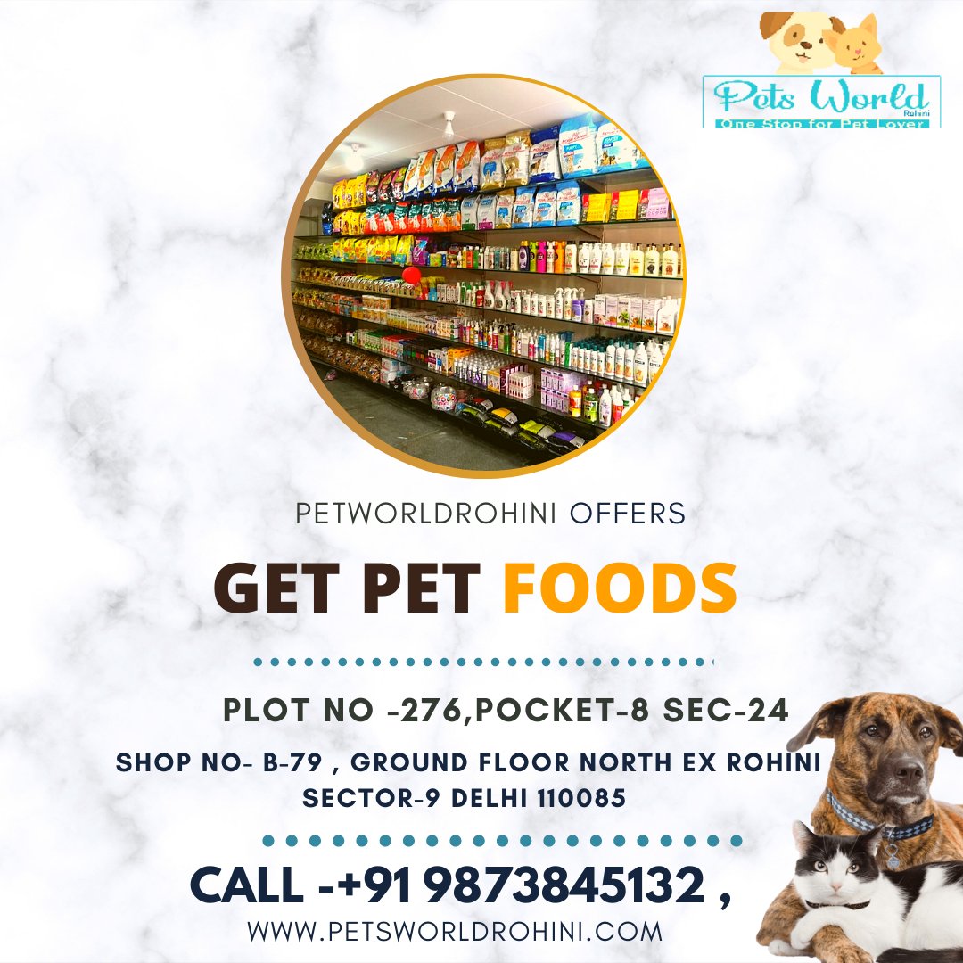 affordable grooming and boarding