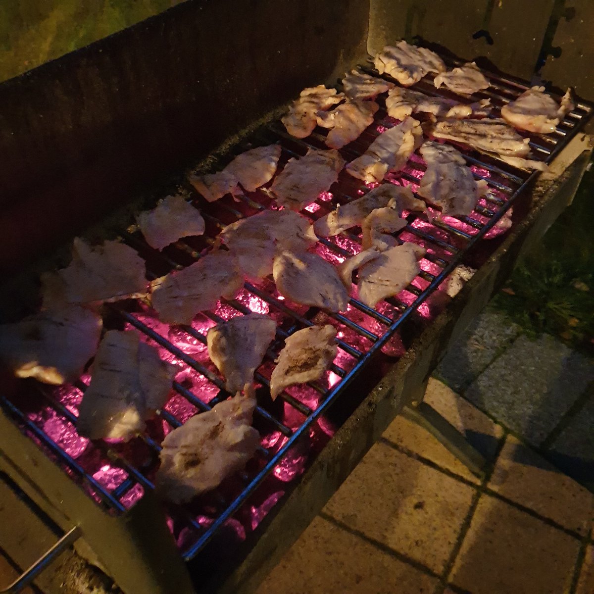 zkocht's tweet photo. Grillabend   BBQ evening
バーベキューイブニング
#essen #kochen #cooking #food #foody #foodporn #grillen #barbecue #bbq
#hähnchenbrust #hähnchenfilet #aubergine 
#バーベキューイブニング https://t.co/y6unzmzgRX