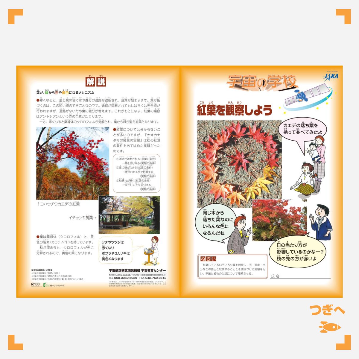 Jaxa宇宙教育センター 紅葉を観察しよう 葉が 緑から赤や黄色に変わるのは何でかな 実際に葉を観察したり 葉っぱが色づく仕組みを実験で調べたりしてみよう 教材url T Co Ak2ojajboy 宇宙教育教材 秋 Jaxa宇宙教育センター 紅葉を観察しよう 葉が 緑から赤や黄色に変わるのは何でかな 実際に葉を観察したり 葉っぱが色づく仕組みを実験で調べたりしてみよう 教材url T Co Ak2ojajboy 宇宙教育教材 秋