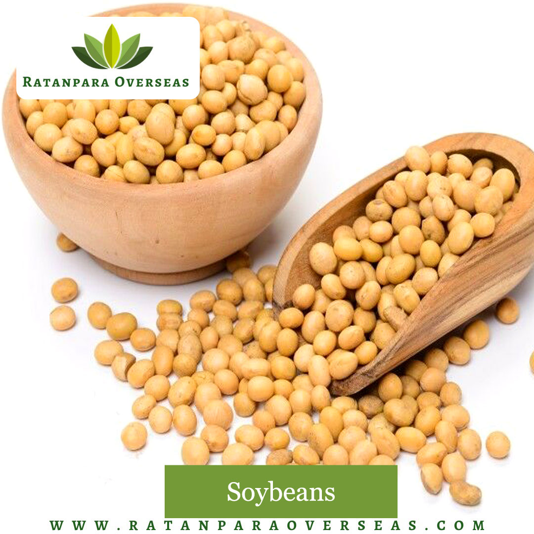 Ratanparaexport's tweet photo. We are one of the finest fresh, organic and pure Soyabeans producer and exporter based in India. Bulk order acceptable.

📲: +91 9510637428
🌐: https://t.co/LlVHbguoY6
📧: info@ratanparaoverseas.com https://t.co/rupmUl11Qc