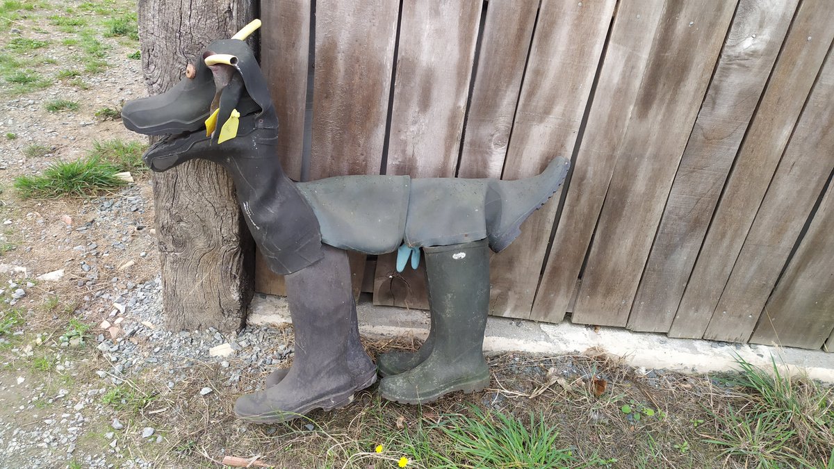 Anne Gilet tweet media