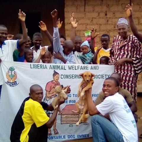 LiberiaAnimal's tweet photo. Communities full involvement in addressing the plight and suffering of #animals is key in improving their health and welfare.
#OneWelfare #Environment #AnimalHealth #AnimalWelfare #VeterinaryService #AnimalsMatter #BeKindToAnimals #KindnessHeroes #KindnessToAnimals #Kindness https://t.co/Y8VE3X32BO