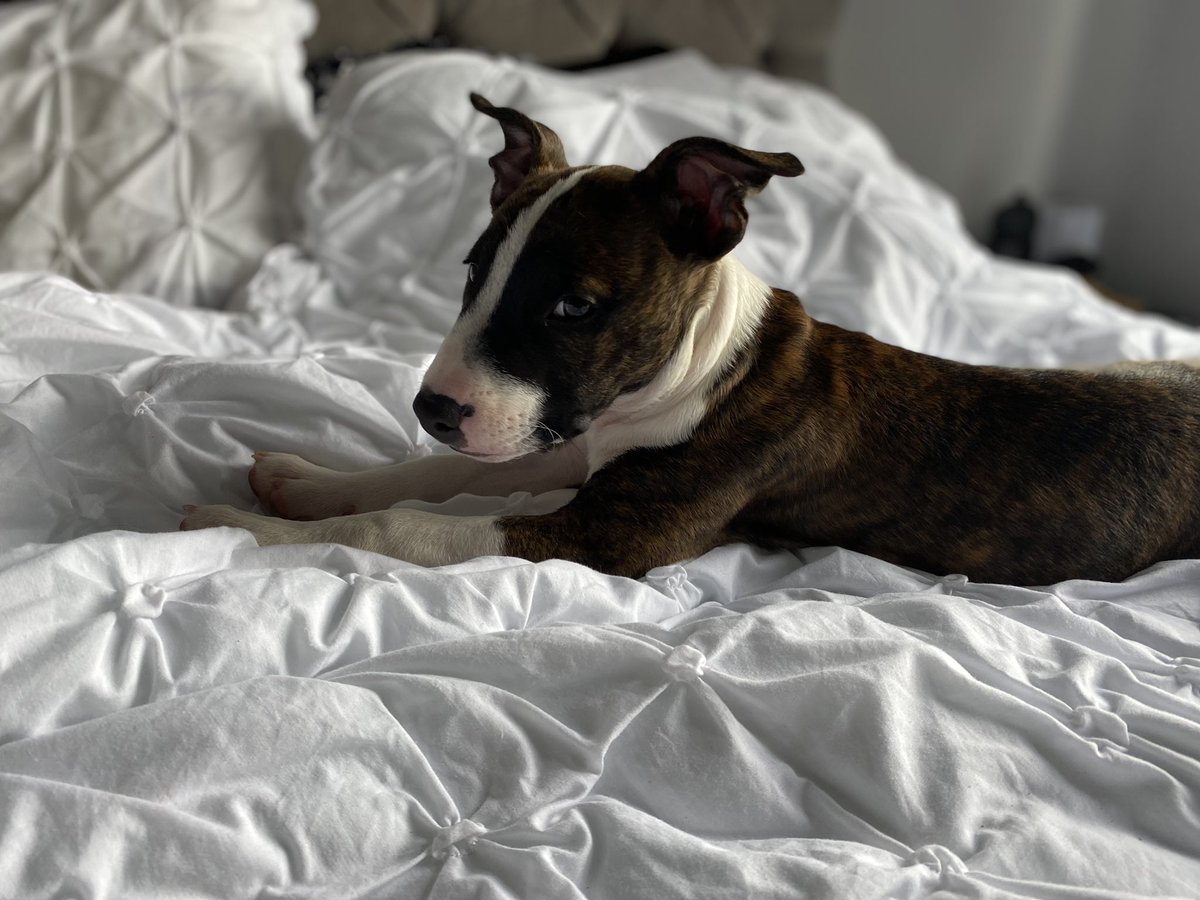 Grace Garner tweet media