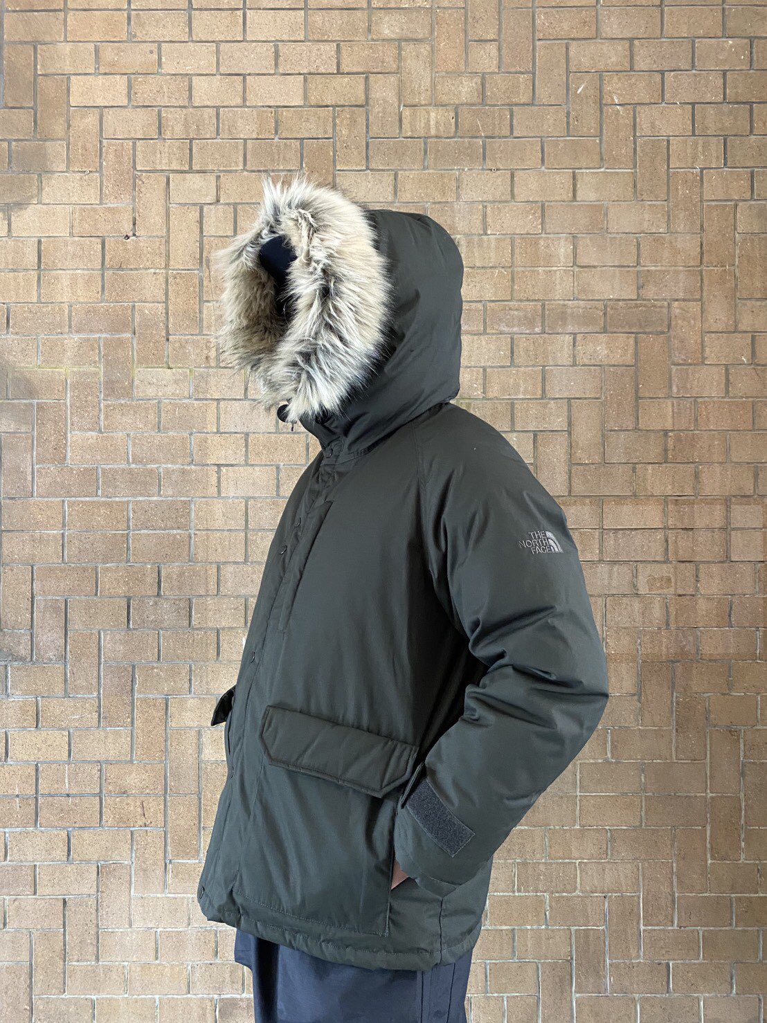 The north face 2024 purple label canada