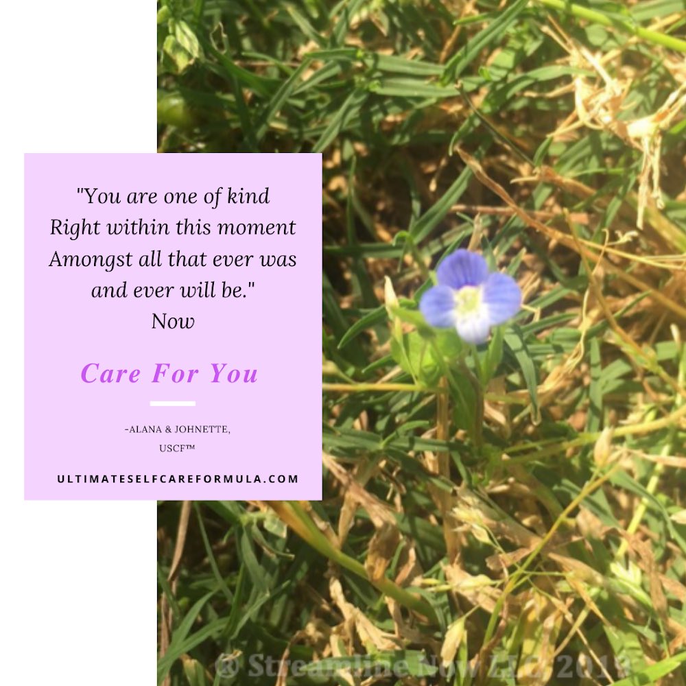 ultimatescf's tweet image. “You are one of a kind right within this moment amongst all that ever was and ever will be.” -Alana and Johnette, USCF ™
🍃Now Care For You 🍃
ultimateselfcareformula.com 👈

#healthandwellness #selfcare #holistichealth #growth #happiness #personaldevelopment #education #connect