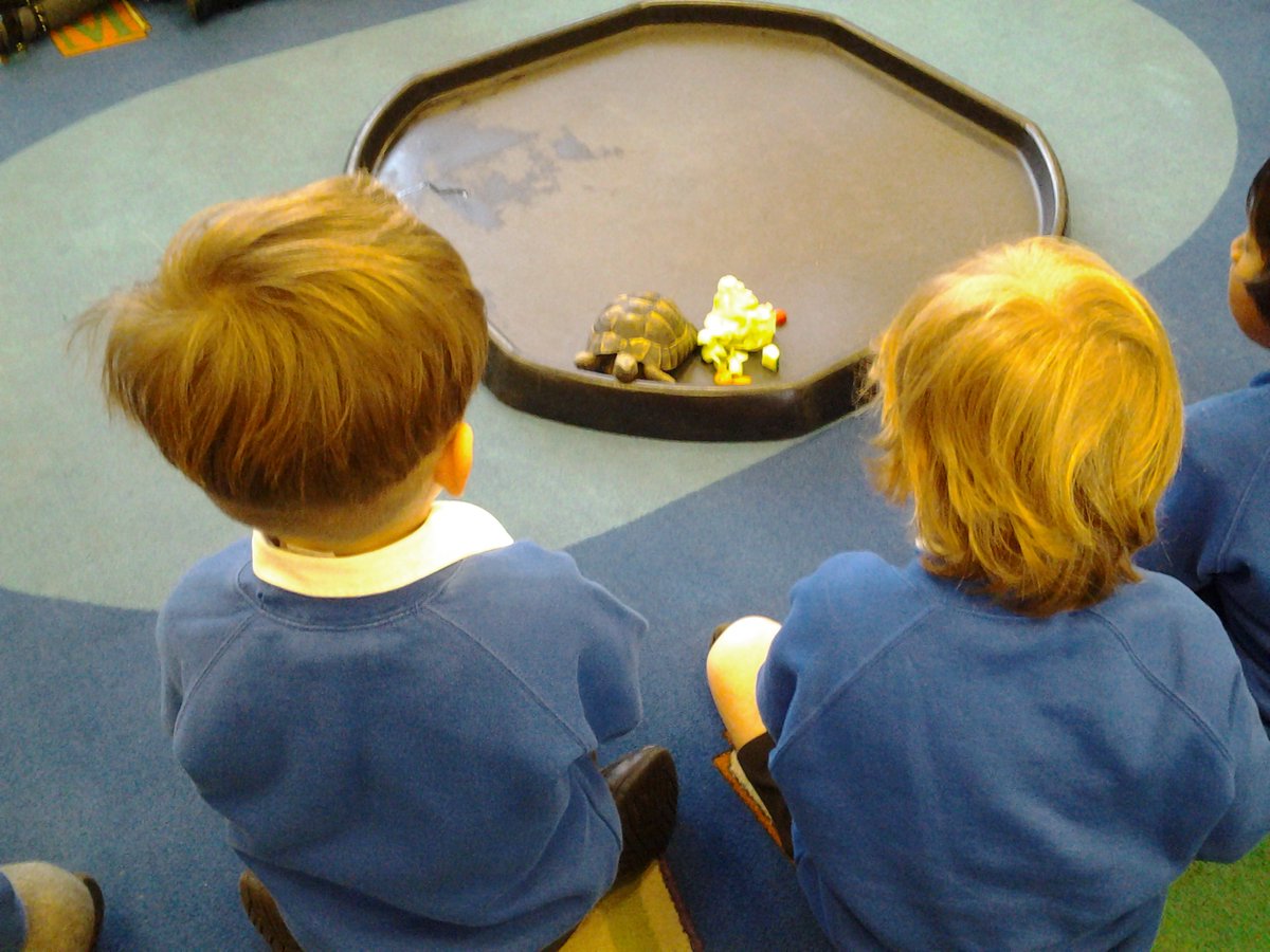 OakClassR's tweet photo. We were very excited to have a visit from a tortoise as part of our pets topic. Thank you for visiting us Ernie! https://t.co/OBITpGgPnk
