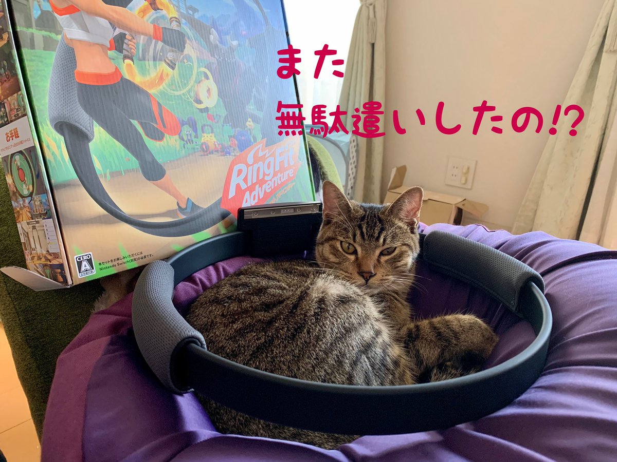 トップ】おかぁしゃんSwitch持ってなくない? _:( _ ́ཫ`):_Switchまだ