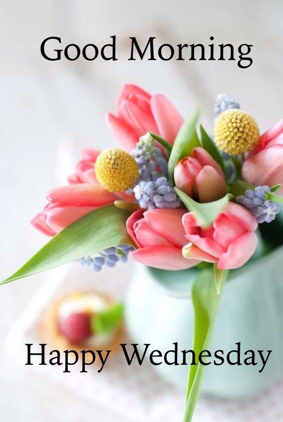 Good morning Wednesday
#LiveLaughLove #Happy #Rowelynnes #Arr0we #RowelynnesDigitalMarketing #DigitalMarketing #Happiness #GreatDay #Motivation #entrepreneurmindset #BusinessConsultant #BeautifulWorld #Positivity #MorningEnergy #Scotland #Philippines #Marketing #QuoteOfTheDay https://t.co/YsOTLxH56C