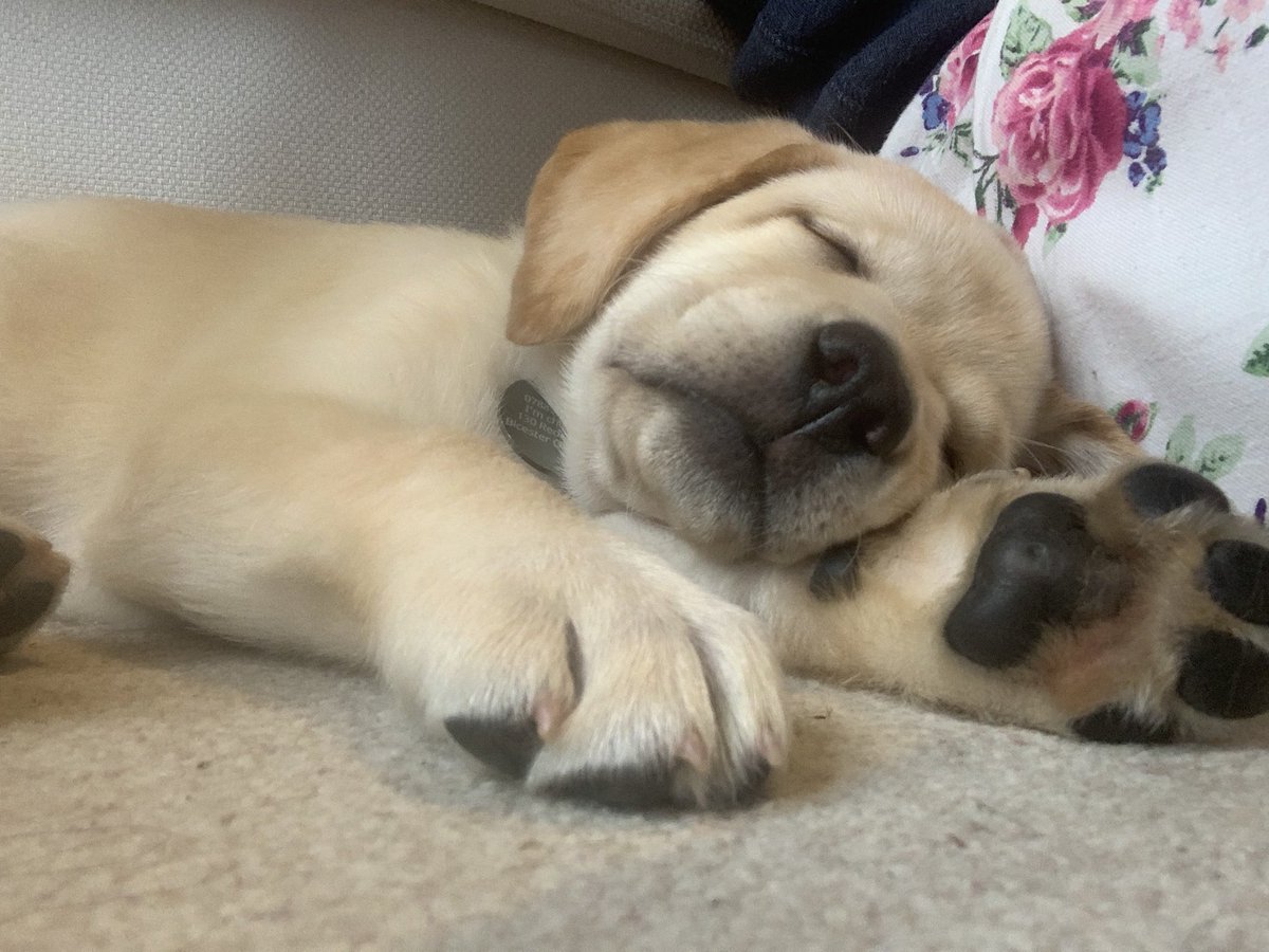 Lazy breakfast date 😍