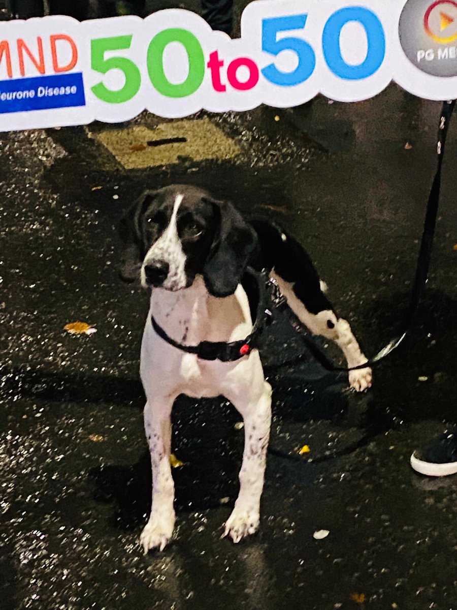 puntersg's tweet image. LEG 47 DONE ✔ #50to50Challenge in aid of @deterMND  - Anothet wet one but the mood and chat was uplifting as we head towards the last 3 socially distanced walks. Many Thanks to @RossaGACBelfast  for sponsoring walk💙

You can donate now at justgiving.com/fundraising/ge…

 @dizzydb