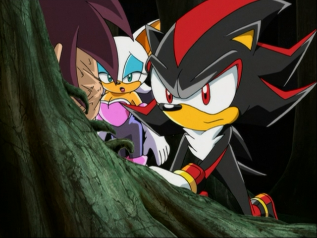 Sonic X Screencaps on Twitter  Shadow the hedgehog, Sonic, Sonic and shadow