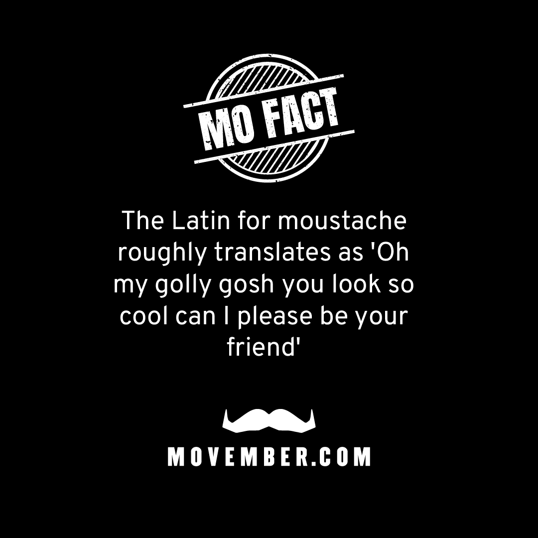 Bertie Styles (@bertiestyles) / Posts / X, image size:1080x1080