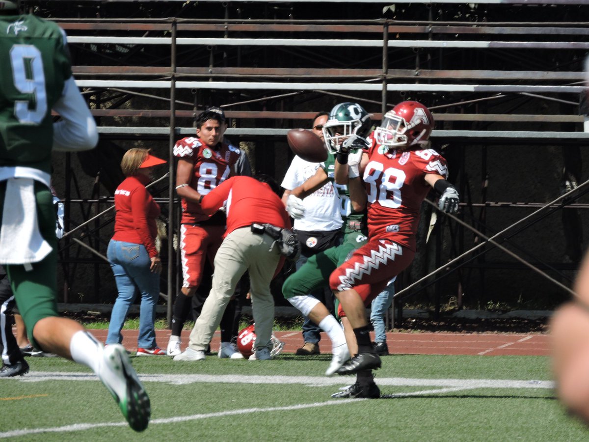OnefaOficial's tweet photo. @AguilasIPN vs @Cheyennes_ESIME
#IntermediaOnefa #delArchivo
π¦
π¦
π¦
ππππ―π―π― https://t.co/5sjRzwrfC2