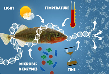 NOAAFish_NEFSC's tweet photo. Parents, teachers & educators: Lots of #OceanFunDays2020 activities for kids of all ages, including this slideshow for teens (14+) about our Sandy Hook Lab’s research using #EnvironmentalDNA: https://t.co/yvJ5Hwdf3g. #OFD2020 #NEFSCScience @NJSeaGrant https://t.co/u1qvLMVgJm