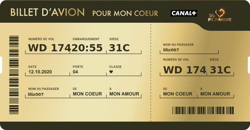 liliz007's tweet photo. Je cherche mon binôme, voici mon billet ! Quelqu'un a-t-il le même ? #LaFlamme Essayez de trouver le vôtre sur https://t.co/aNoloMOQ1E https://t.co/XhwEkaSrW4
