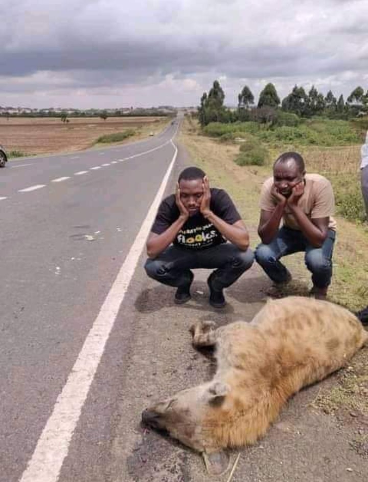Let's all preserve a silent moment for our fallen comrade. We shall be meeting at garden square for contribution and funeral arrangement. Body shall leave Lee funeral home for his final resting place which will be communicated at a later stage next week. 😎😷 https://t.co/S5TGgccAXN