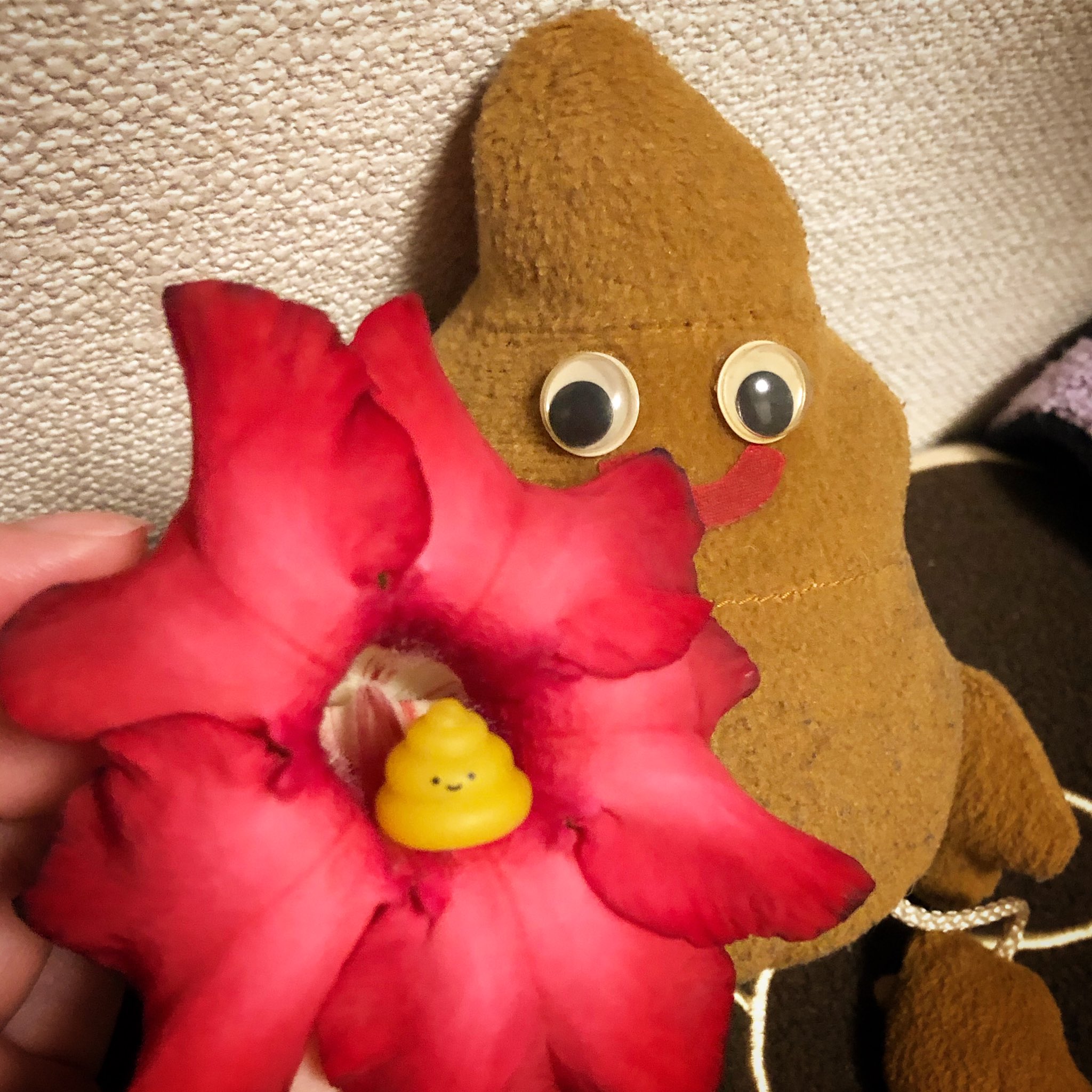 うんこくんファミリー 花咲かうんこ 2 うんこくん カッコつけコーナー 役目を終えたリビングの お花 を頭に飾るうんこくん お花の中に入る うんちちゃん 花 うんこ うんち ぬいぐるみ ぬいぐるみと撮り隊 ぬいぐるみ好き うんこくんファミリー 花咲かうんこ 2 うんこくん カッコつけコーナー 役目を終えたリビングの お花 を頭に飾るうんこくん お花の中に入る うんちちゃん 花 うんこ うんち ぬいぐるみ ぬいぐるみと撮り隊 ぬいぐるみ好き