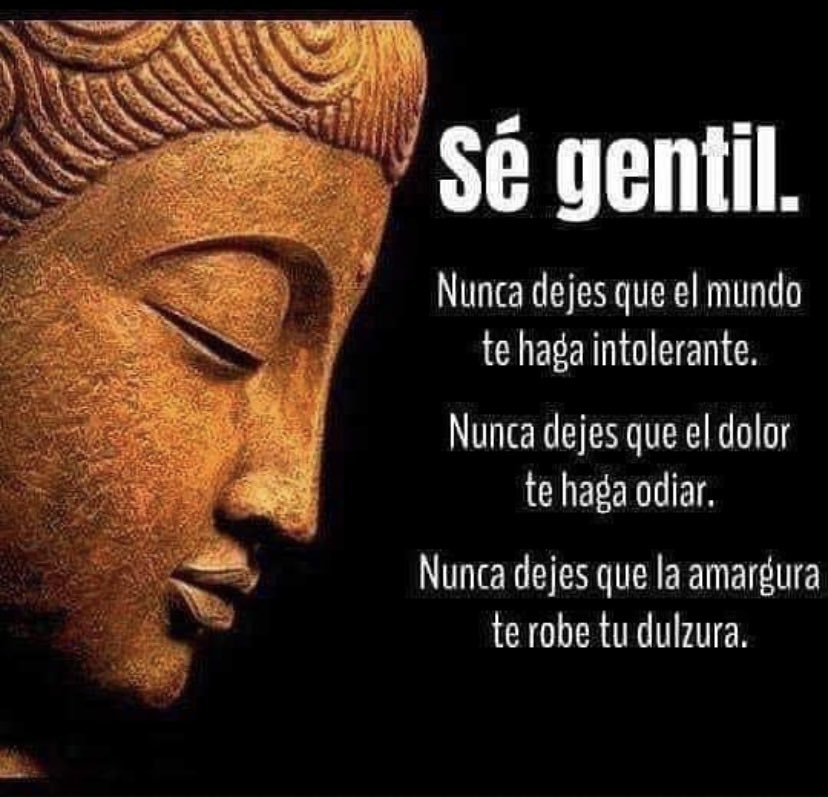 dir_ifp's tweet photo. https://t.co/itwaXXHFdb