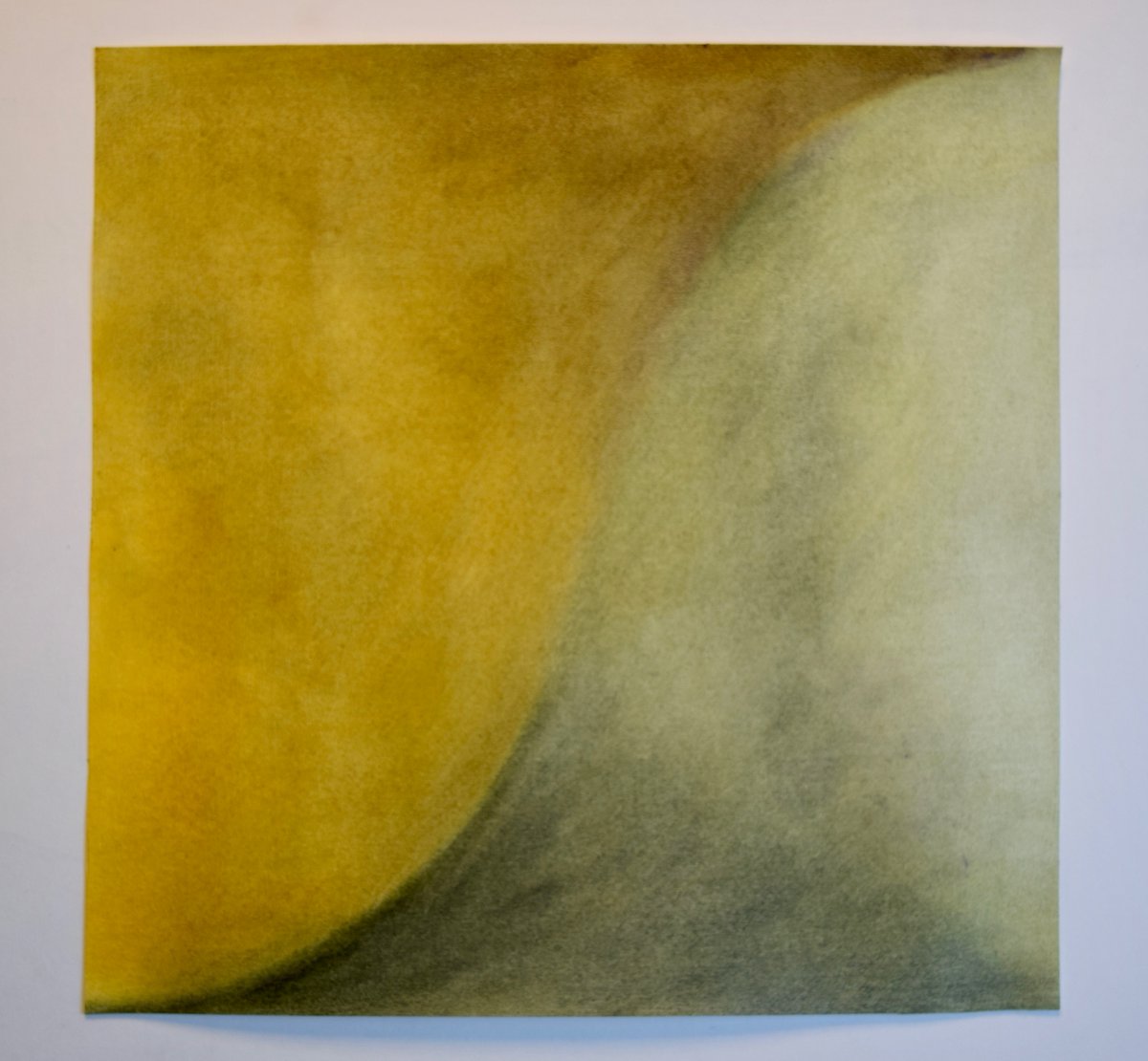 pamelacarrart's tweet image. I have just spent  a lovely long weekend playing with colour on the soft planes of the wonderfully sinuous S Curve and here are the ones my Insta followers liked best 🙌

#pamelacarr @ParkerHarrisCo @_MarthaMay #abstractcolour #transientcolour #abstractpainting #londonartist