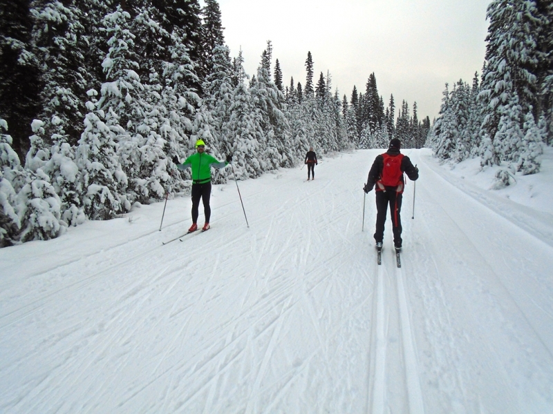 With all the early snow, beginner skiers are itching to get out. Let’s go over some helpful information which will get you going on the right foot. skierbob.ca/2020/10/beginn…