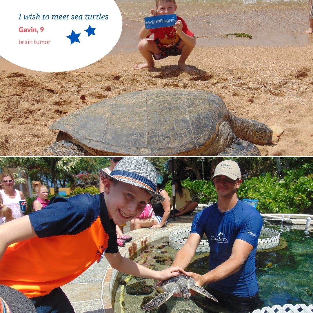 Gavin is 9 yo, likes video games &amp; playing soccer ... he also lives with a brain tumour. Gavin's wish was to go to Hawaii &amp; see Sea Turtles! His wish was a magical experience that has shown him that anything is possible. Makeawish.ca/donate. #WishWednesday #WishesWorkWonders