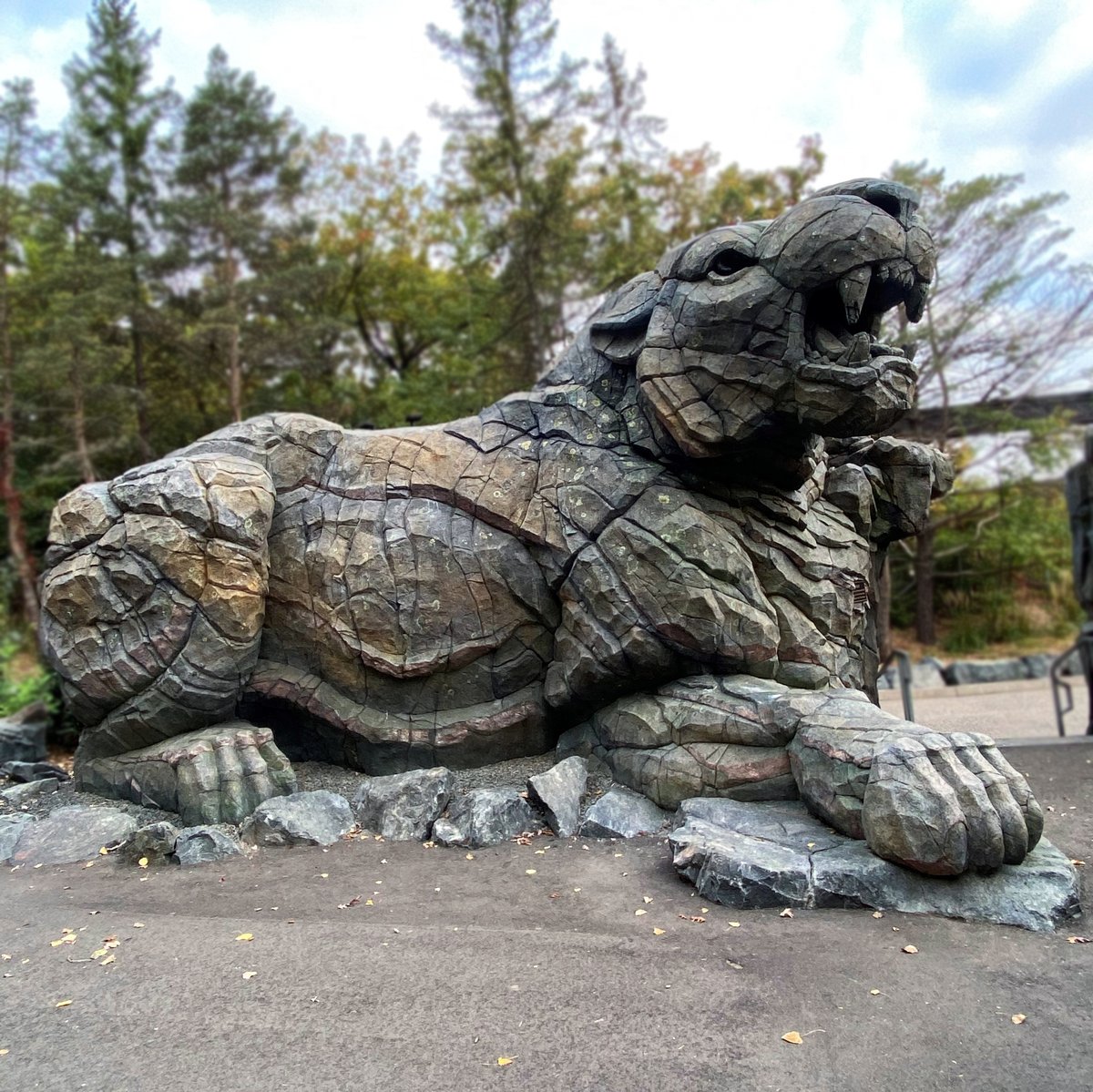 RAMaterials's tweet photo. Take a look at this fantastic lion at the Minnesota Zoo sculpted with Buddy Rhodes Vertical Mix over carved EPS foam! @mnzoo #ramaterials #smoothon #buddyrhodes #sculpting #zoo #themedenvironments 
To learn more about the Minnesota Zoo visit: https://t.co/jvzppszXZO https://t.co/rrT1w88Pem