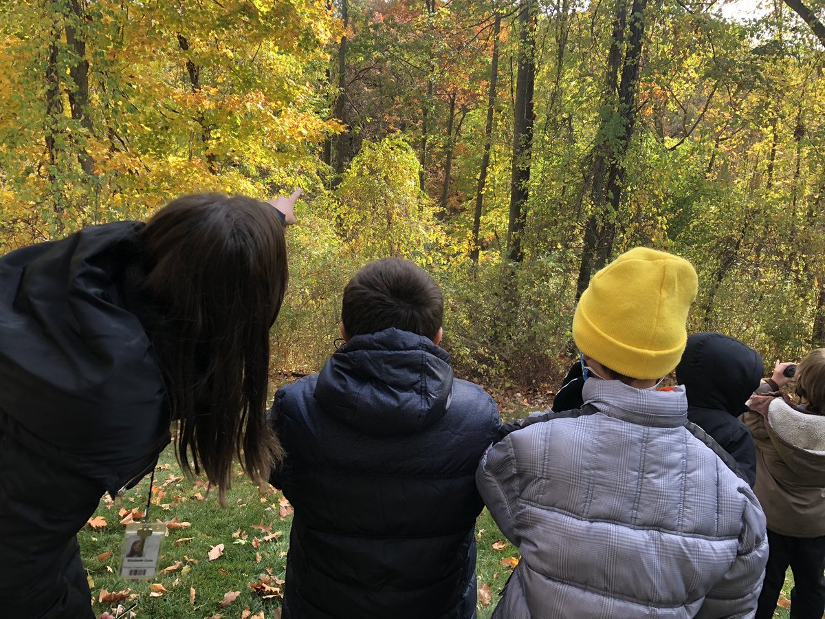 Daniel Scott tweet media