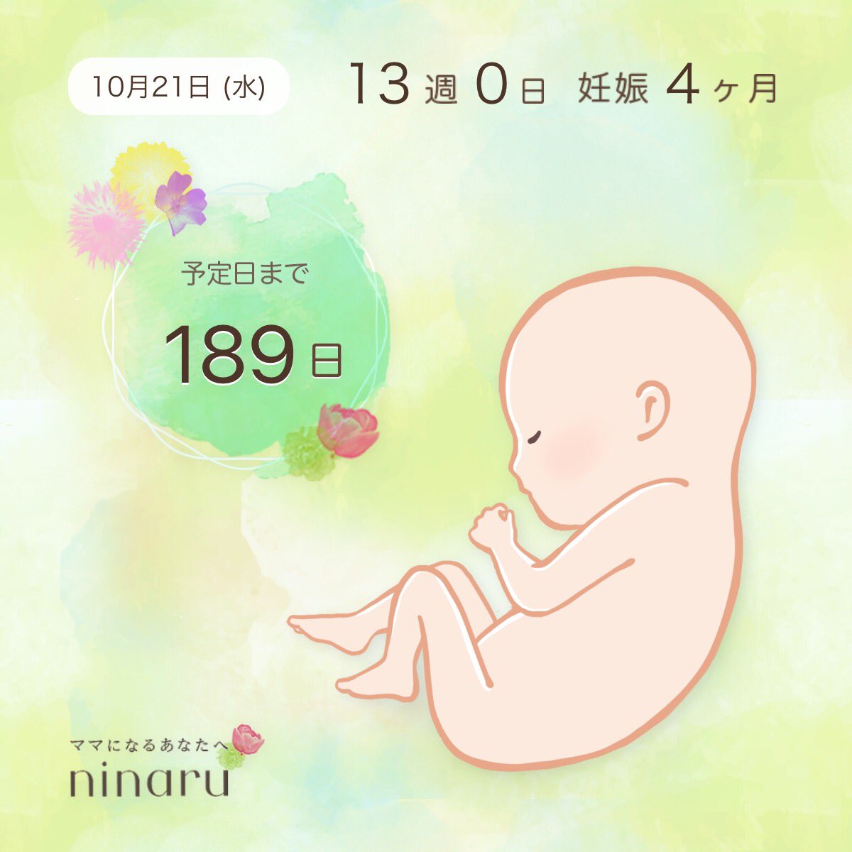 妊娠しました 13週に入りました 子供を授かったのをきっかけに住み替えを考えていて 物件情報を見漁っているのでtwitterが滞りがちです 最近お腹が張って破裂しそう 妊娠初期 マタニティ Ninaru