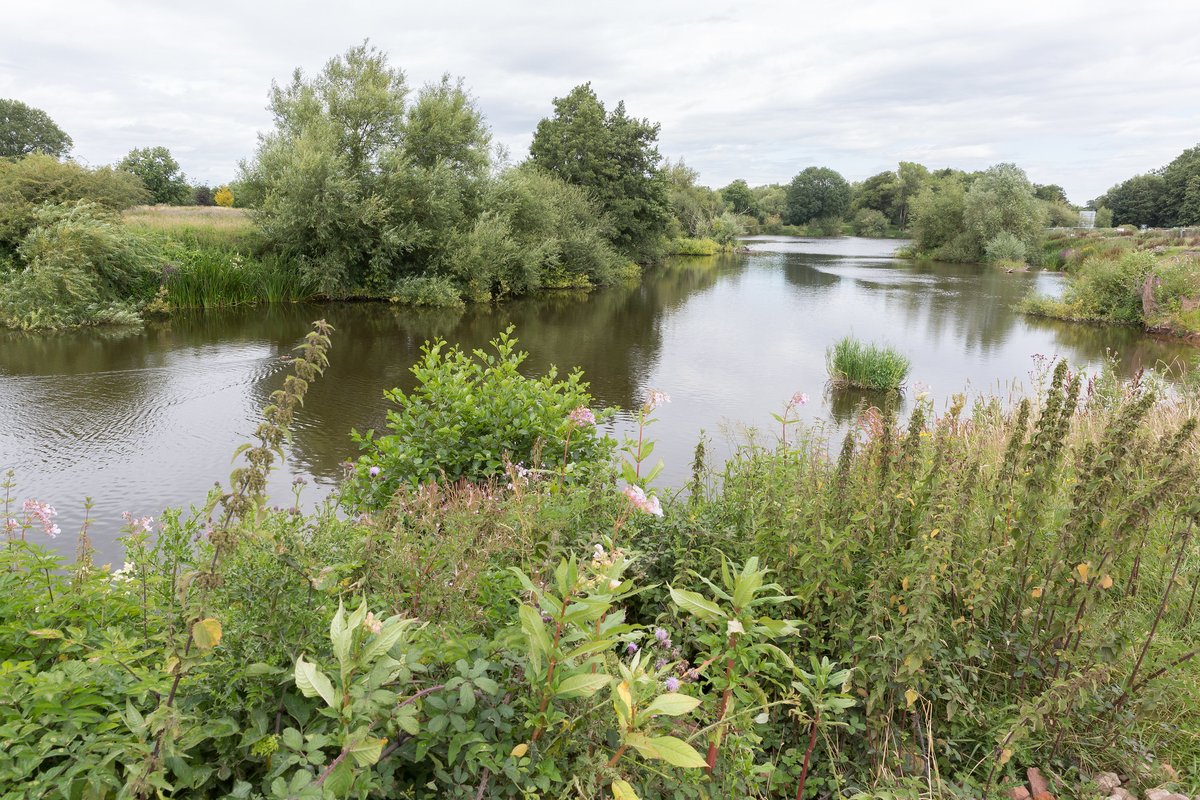 Unlocking the Severn (@severnunlocked) on Twitter photo Join us for a Journey Up the Severn on #WorldFishMigrationDay **THIS SATURDAY on our Facebook page** Throughout the day, we'll sharing videos following the journey of the #TwaiteShad and sharing insights from our project! #FollowTheShad
<a href="/severnrivers/">Severn Rivers Trust</a>
facebook.com/SevernUnlocked Join us for a Journey Up the Severn on #WorldFishMigrationDay **THIS SATURDAY on our Facebook page** Throughout the day, we'll sharing videos following the journey of the #TwaiteShad and sharing insights from our project! #FollowTheShad
<a href="/severnrivers/">Severn Rivers Trust</a>
facebook.com/SevernUnlocked