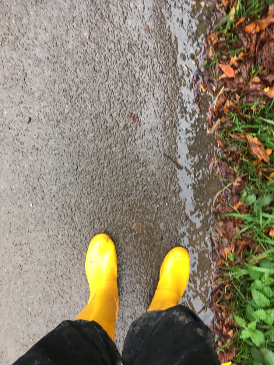 MudMartin's tweet image. Boots of choice today along with black waterproof trousers and white jods underneath