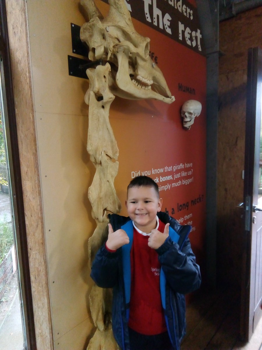 A soggy but great day at Whipsnade Zoo today.