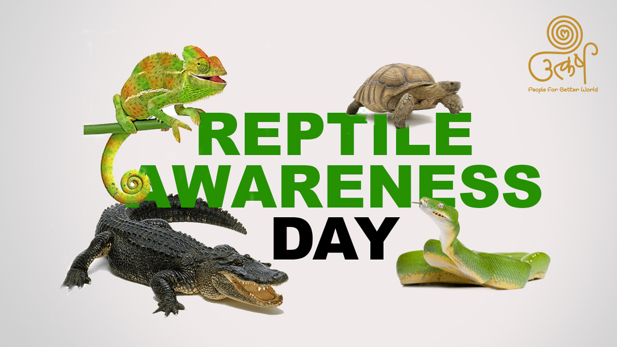 #𝐑𝐞𝐩𝐭𝐢𝐥𝐞𝐬 𝐬𝐡𝐨𝐮𝐥𝐝 #𝐬𝐮𝐫𝐯𝐢𝐯𝐞.

#UtkarshGlobalFoundation #UtkarshAnimalWelfare #ReptileAwarenessDay #WildlifeAwareness #WildLife