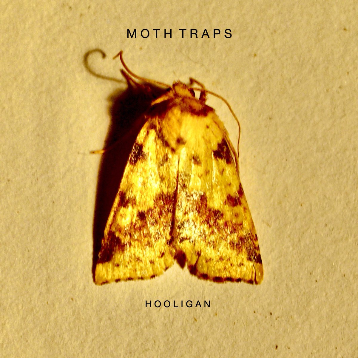 ExposedCode's tweet image. ‘Hooligan’ by Moth Traps is released on 13th November on Exposed Code Records. 

#mothtraps
#hooligan
#exposedcode