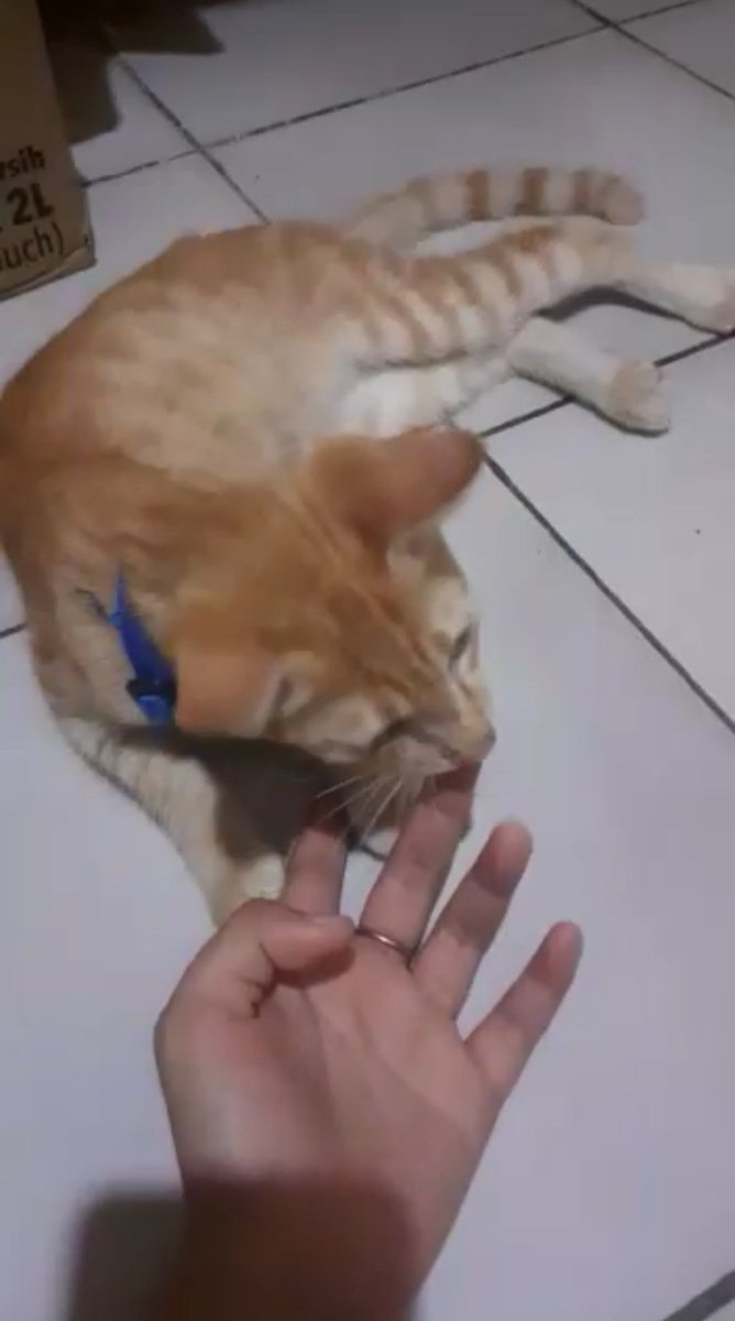 🍉 dhanti 🍉 tweet media