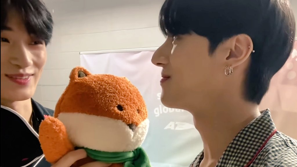 sanshinepics's tweet photo. the kitten and the fox 🐱🖤🦊 https://t.co/wh0bUjIHfG