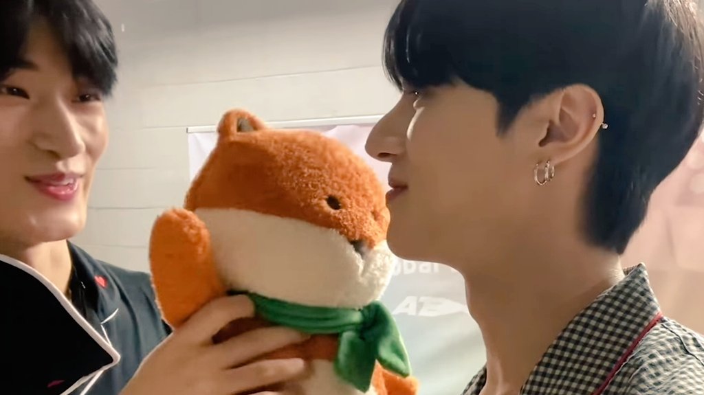 sanshinepics's tweet photo. the kitten and the fox 🐱🖤🦊 https://t.co/wh0bUjIHfG