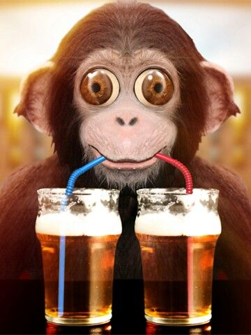 With yesterday's news, we don't want any beer to have to go to waste so for today and tomorrow all cask ales will be £2 a pint at BrewChimp Flixton!

We also have take out containers available to take both cask or keg beers home! Once they've gone, they've gone 🐵 🍻
