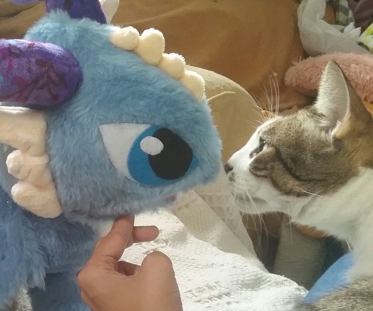 DragonTanis's tweet photo. Yue needs to greet every single reation i make once it's done. They need his blessing.  #puppetdragon #puppets #puppetmaker  #puppet #dragon  #cute #fantasy  #dragons #dragonpuppet #marionetadragon  #marioneta #marionetas #plush #plushies #plushdragon #plushdragons https://t.co/Mq9VOqok6d