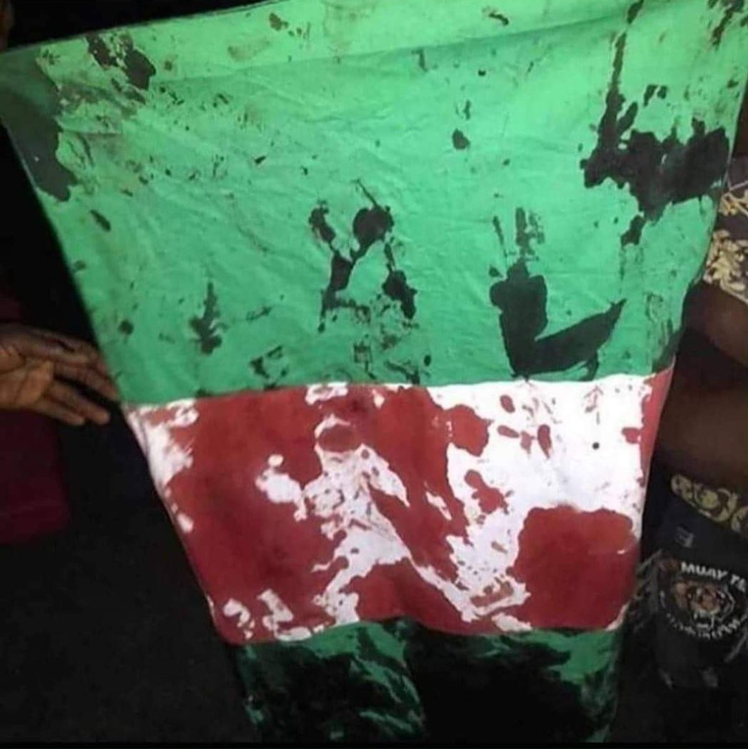 ATasteOfAfrica7's tweet photo. @vanguardngrnews @OfiliOgechukwu Buhari protested in peace in 2015! A human right he denied Nigerian citizens! How does a terrorist government investigate itself? We must fight back! Enough is enough! Don't allow them to win with this massacre as they hoped! No backing down! #EndNigeriaNow to #EndSarsForever ✊🏾 https://t.co/UmatsAMgCA
