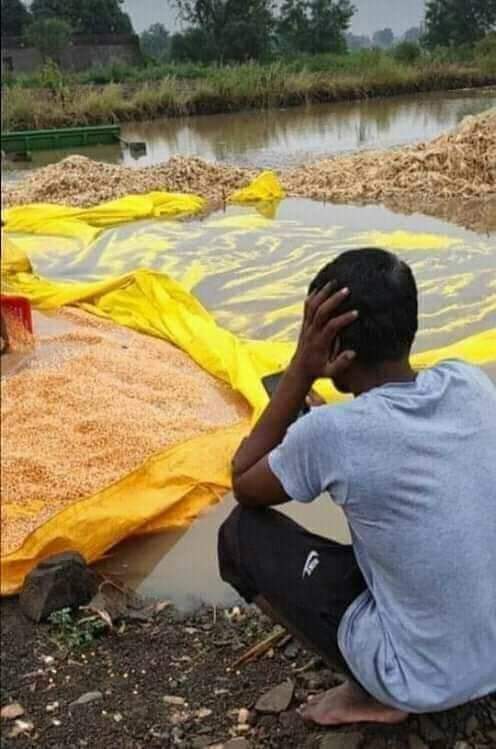 BeingFarmersay1's tweet photo. Farming is not everyone's cup of tea.... Not everyone can be a farmer... Farmer is a greatest resource and asset for Humanity... Please support farmers and help them in this tough situation 🙏🙏🙏🙏🙏 https://t.co/GQqL7Rp3Vx