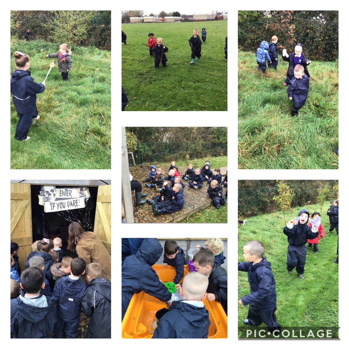 Ducklings tweet media