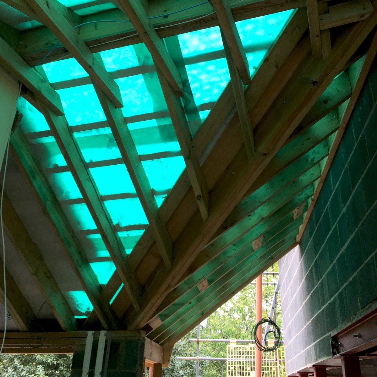 Plaice Design tweet media