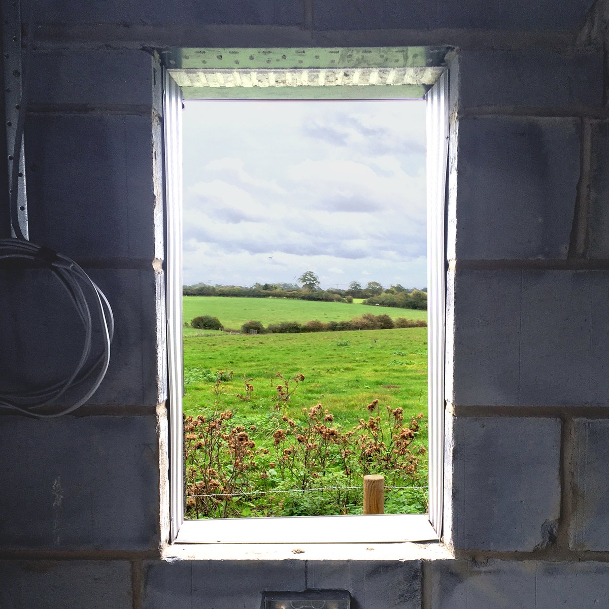 Plaice Design tweet media