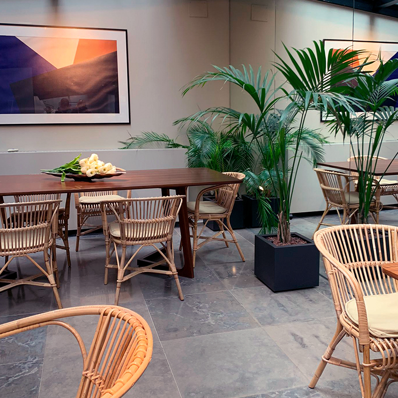 Proyecto: Hotel Icon Embassy <a href="/PetitPalaceHtls/">Petit Palace Hotels</a>
Colección: Urban
Ubicación: Madrid
Realizado por: <a href="/SandraTarruella/">Sandra Tarruella Interioristas</a>

#GreenProjects #HobbyFlower