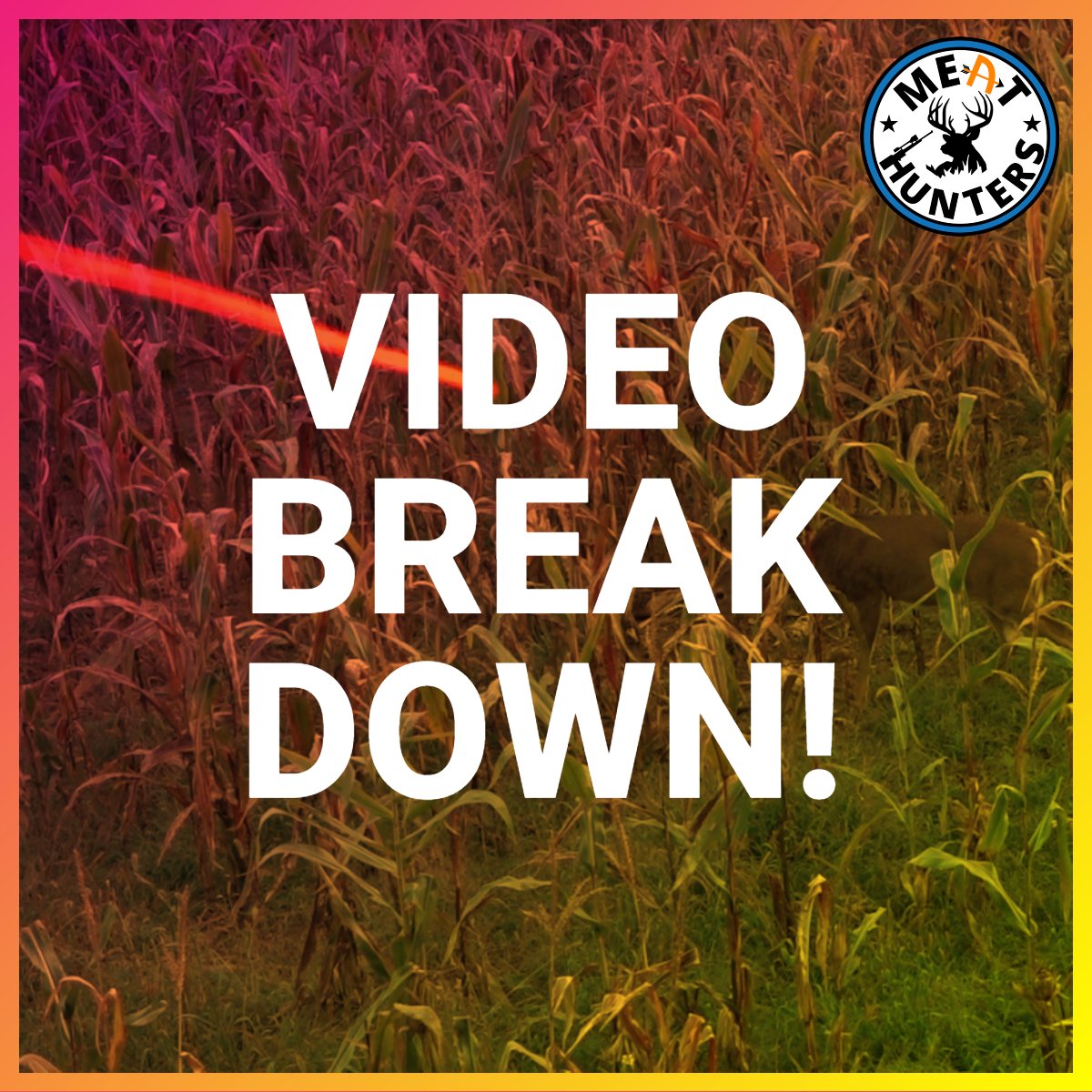 MeatHunters's tweet image. [Podcast #3] - Flinter Video Break Down

On the Podcast tonight: 
*Flinter talks about his last video 
*TK talks about the Latvian Fail 
*We also take a look at some nice harvests from within our community!

2pmEST/8pmCEST Thursday the 22nd!

youtube.com/meathunters