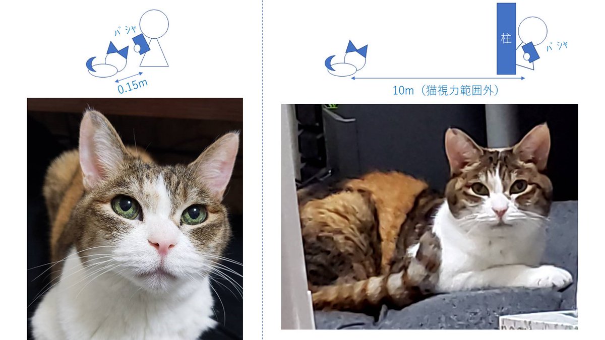 幕末志士 ミケまとめ Min T ミント 幕末志士 ミケまとめ Min T ミント