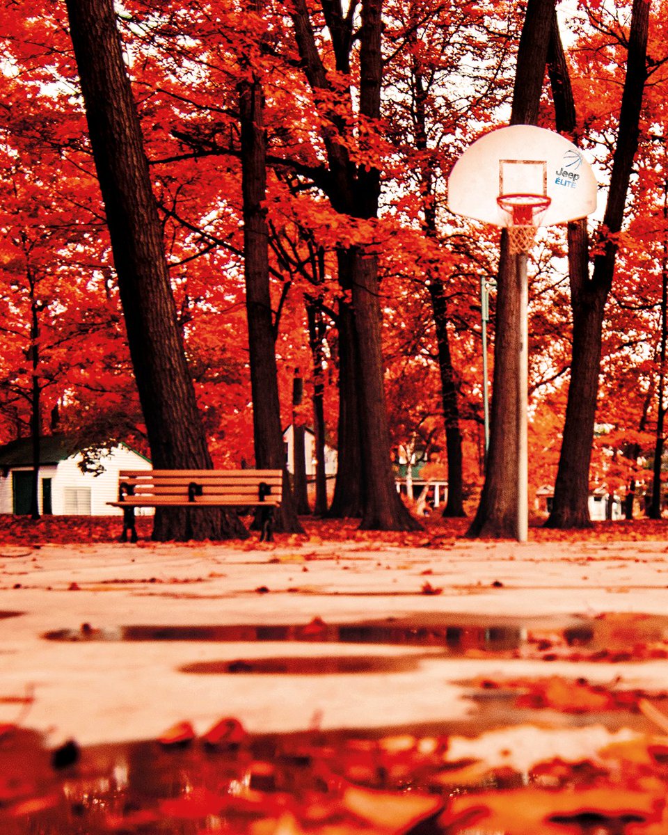 Basketfanzone's tweet photo. L'air est humide, le sol glissant...
Suffisant pour t'arrêter ? 🍂 

#BFZ @JeepFrance https://t.co/egsyqZZxFC