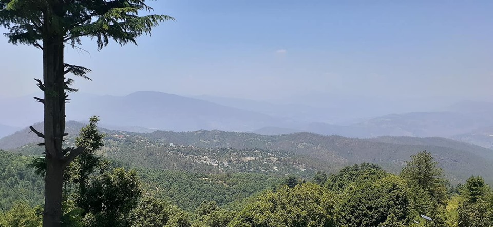 Mukteshwar is a small but very beautiful Himalayan Town in @Nainital
District
#Mukteshwar is rich in scenic beauty & famous for its Himalayan Range
Green Valley View
Apples
Apricot
Plums
Oak - Rhododendron Forest
#मुक्तेश्वर #Nainital #Uttarakhand #NainitalTourism #Himalayas https://t.co/wEHFuN7LBX